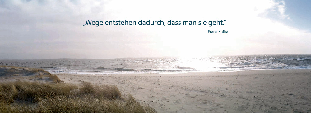 systemische beratung systemisch